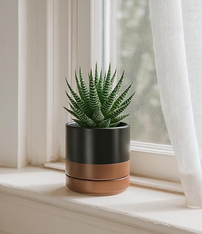 D'vine Dev Set of 2 Plants Pots, 4.7 Inch Ceramic Planter Pot for Plants with Drainage Hole and Saucer, Black/Speckled Tan, 94-V-B-7