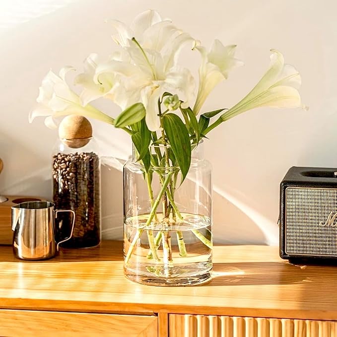 BLOFLO Clear Glass Vase, 9 Inch Large Glass Vase for Flowers, Modern Thick Glass Flower Vases for Centerpieces, Decorative Glass Cylinder Hydroponic Vase for Wedding, Home, Office (Clear, 9Inch)