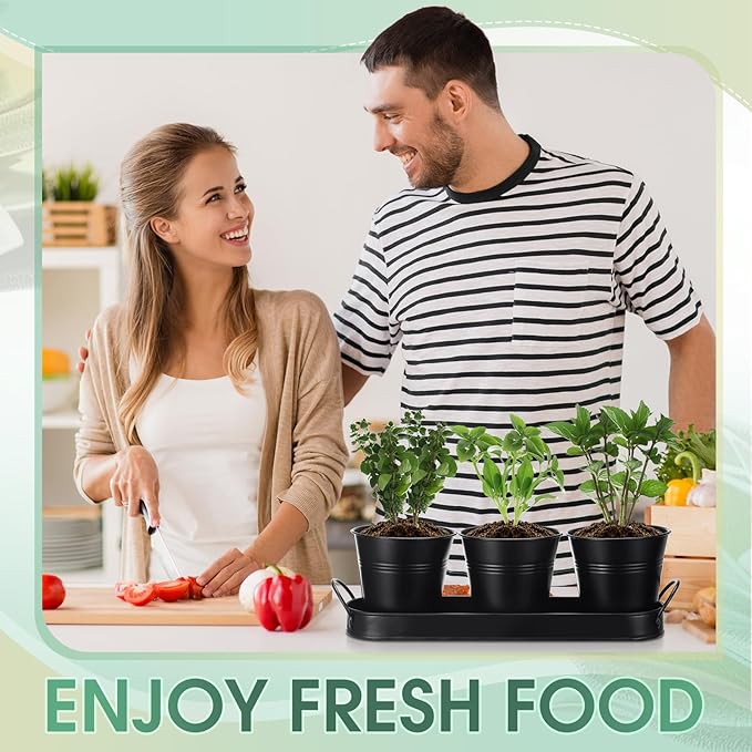 Hicarer 2 Sets Herb Planter with Tray Metal Herb Garden Planter with Drainage Farmhouse Windowsill Pots for Indoor Plants Flower Succulent Outdoor Kitchen Apartment Balcony Window (Black)