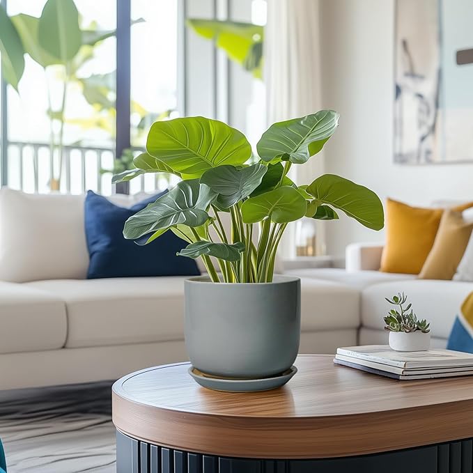 Indoor Planter 7 Inch - Round Ceramic Plant Pot for Cactus Orchid Plants with Drainage Hole and Saucer, Home Outdoor Patio Office Decor, Gray