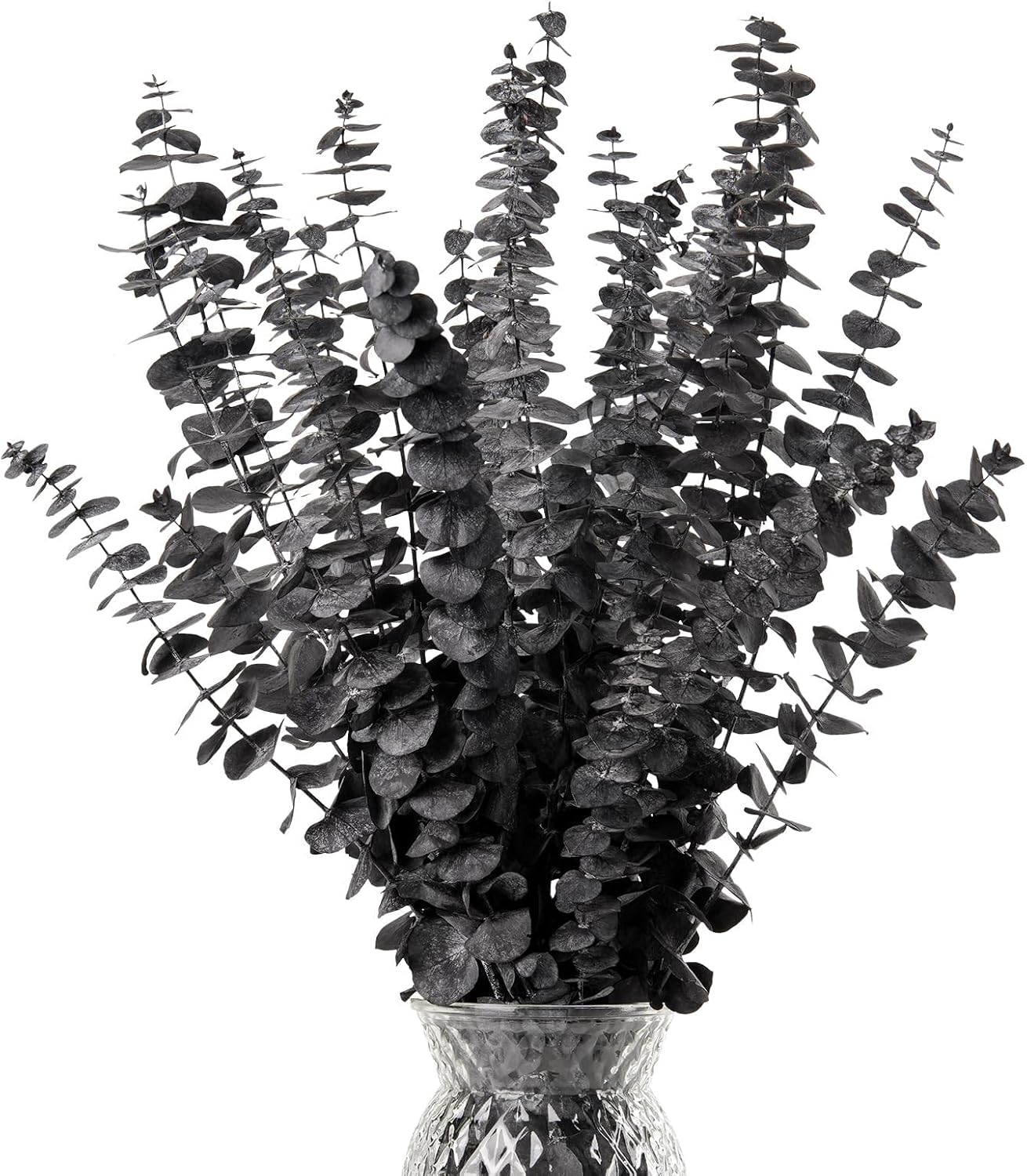 Black Eucalyptus Stems Decor,20PCS 17" Real Dried Preserved Eucalyptus Stems Plant for Home Vase Wedding Festival Floral Fall Halloween Arrangement Decorations