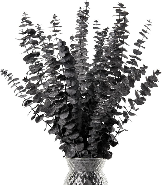 Black Eucalyptus Stems Decor,20PCS 17" Real Dried Preserved Eucalyptus Stems Plant for Home Vase Wedding Festival Floral Fall Halloween Arrangement Decorations