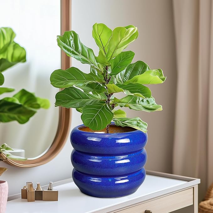 SQOWL 8 Inch Plant Pot - Ceramic Planter Indoor Plant Pot with Drainage Hole Outdoor Flower Pot Round Decorative Plant Pots for Kitchen Counter Desk Decor Blue