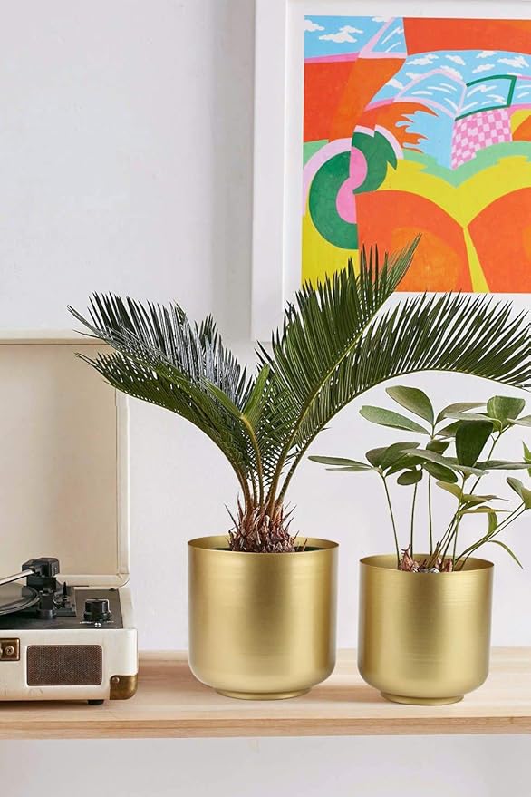Vixdonos Large Gold Planters Metal Aloe Brass-Tone Plant Pots Indoor Decorative Flower Pots with Drain Holes(8+7.1Inch)