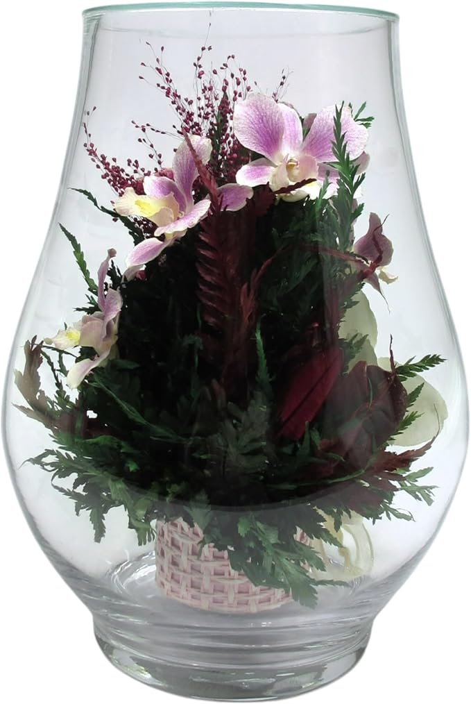 Fiora Flower Elegant Orchid Arrangement in Glass Vase | Preserved Real Orchids Lasting 5 Years | Ideal for Home Decor or Romantic Gift (Opal)