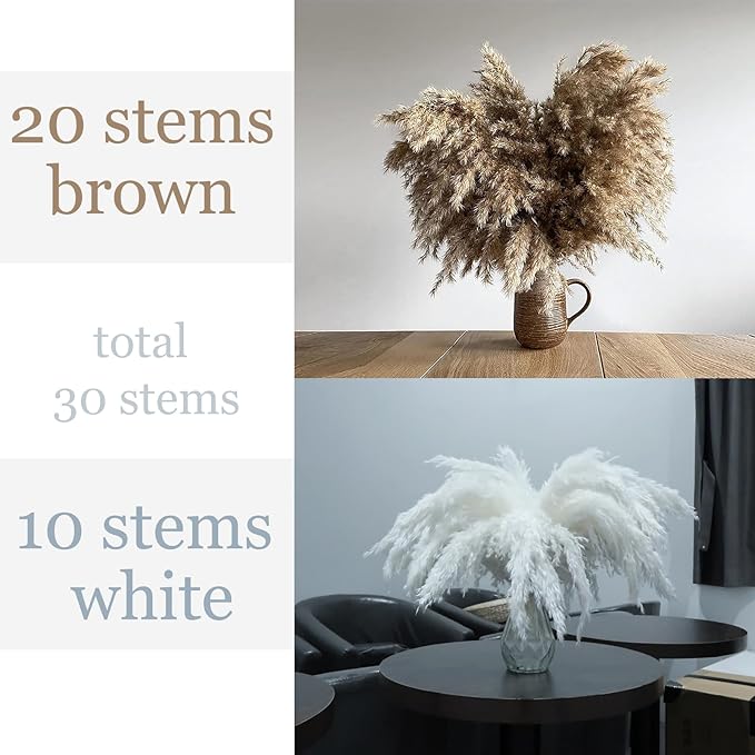 30 Stems Fluffy Pampas Grass - Natural Dried Pampas, Brown & White Pompas Grass, Dry Small Pampas Bulk for Living Room Table Decor, Boho Decor,Party Wedding Decor, Gift(17.7 inch, 20 Brown & 10White)