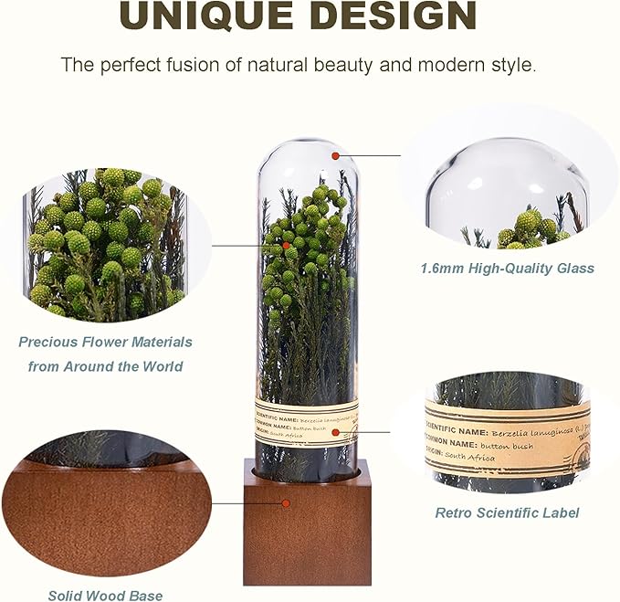 5Pcs Dried Flowers Book Shelf Decor,Boho Shelf Decor,Small Plants Decor for Office Shelves,Natural Forest Green Plants Decor with Wooden Base,Rustic Farmhouse Decor,Unique Gifts for Women,Friends