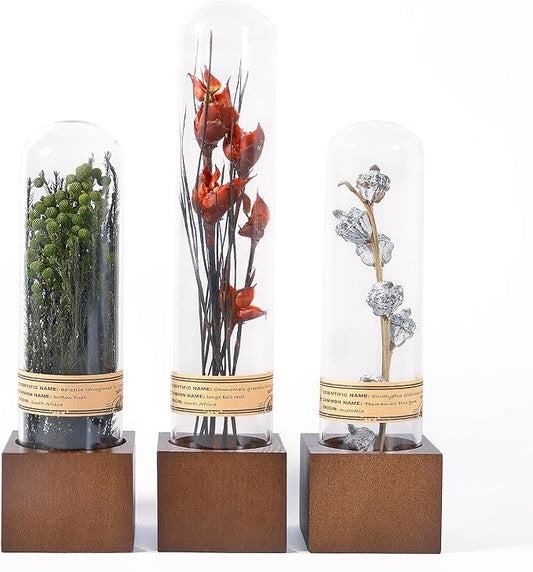 3Pcs Dried Flowers Book Shelf Decor,Boho Shelf Decor,Small Plants Decor for Office Shelves,Natural Forest Green Plants Decor with Wooden Base,Rustic Farmhouse Decor,Unique Gifts for Women,Friends