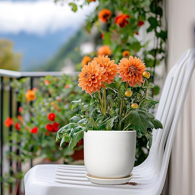 Indoor Plant Pot 5 Inch - Round Ceramic Planter for Succulent Plants with Drainage Hole and Saucer, Modern Home Decor, White