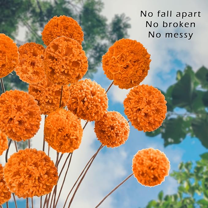 24 PCS Dried Craspedia Billy Balls Flowers, 18” Natural Dried Flowers Bouquet for Vase Floral Arrangements Wedding Table Centerpieces Party DIY Home Decor (Orange)