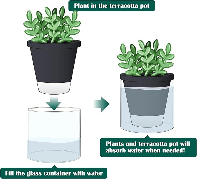 D'vine Dev 4 Inch Design Self Watering Planter for Indoor Plants, Black Terracotta Pot with Cylinder Glass Cup, 37-X-A-3