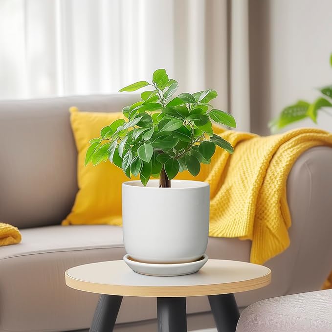 Indoor Plant Pot 5 Inch - Round Ceramic Planter for Succulent Plants with Drainage Hole and Saucer, Modern Home Decor, White