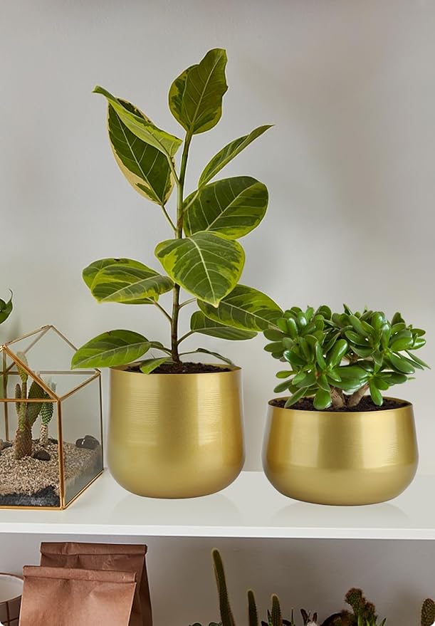 Vixdonos Gold Metal Flower Pots Brass-Toned Garden Planters, 7.1/6.3 Inch Indoor Round Succulent Containers, Pack 2 Cactus Plant Pots with Drainage Hole