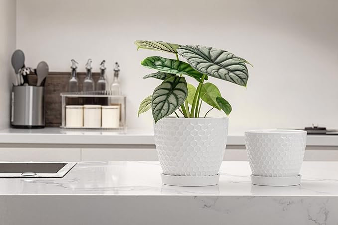 Docrin Ceramic Plant Pots Indoor, 6.6 + 5.5 Inch Flower Pots with Drainage Holes and Saucer for Plants, Set of 2, Milky White Honeycomb