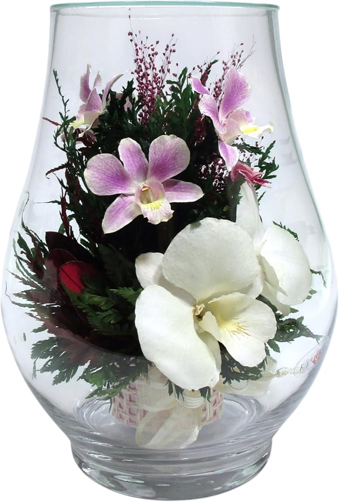 Fiora Flower Elegant Orchid Arrangement in Glass Vase | Preserved Real Orchids Lasting 5 Years | Ideal for Home Decor or Romantic Gift (Opal)