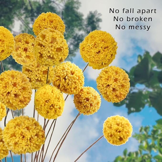 24 PCS Dried Craspedia Billy Balls Flowers, 18” Natural Dried Flowers Bouquet for Vase Floral Arrangements Wedding Table Centerpieces Party DIY Home Decor (Yellow)