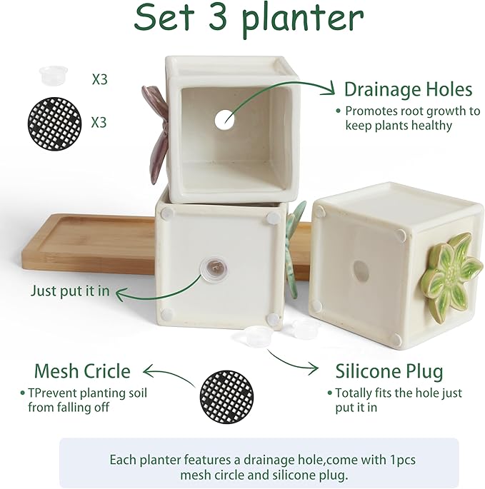 Succulent Plant pots with Tray: Small White Succulent Square Plant pots for Home Office Housewarming - 3.1 inch Geometric Cactus Holder with Drainage and Tray-Suitable for Desktop Storage