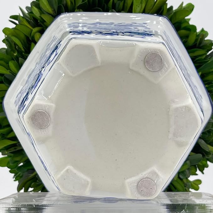 Galt International 9.5" Naturally Preserved Real Boxwood Ball in Hand-Painted Blue & White China Pot Planter Green Indoor Plant Home Decor (9.5" Tall Topiary)