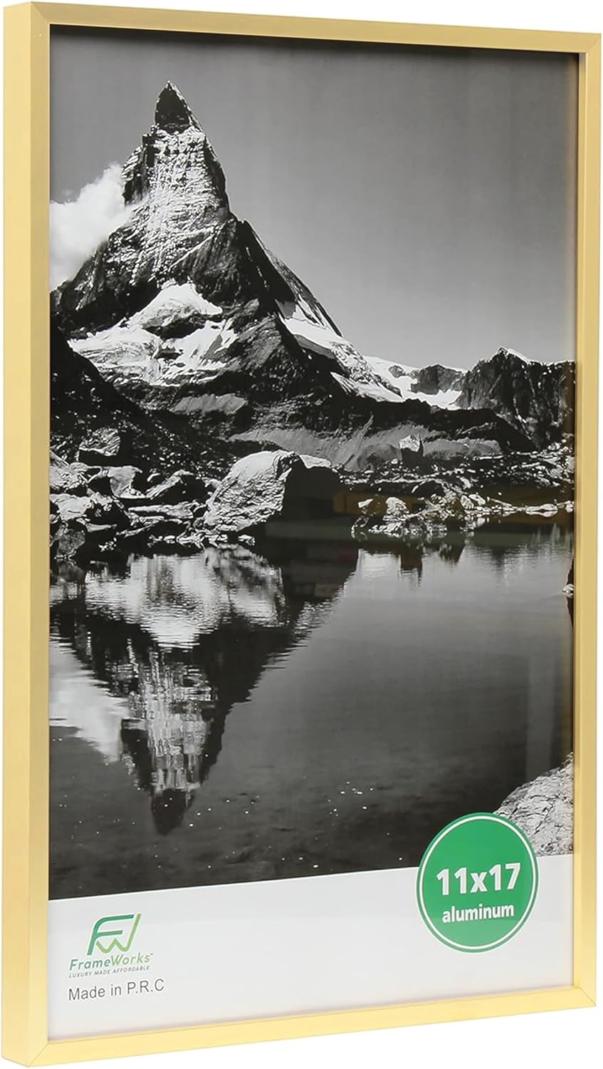 FrameWorks 11x17 Picture Frame – Aluminum Frame w/Tempered Glass, Durable and Stylish Wall Frame for Posters, Photos, Art, Home Decor, Gallery Walls, Office, Living Room - Gold