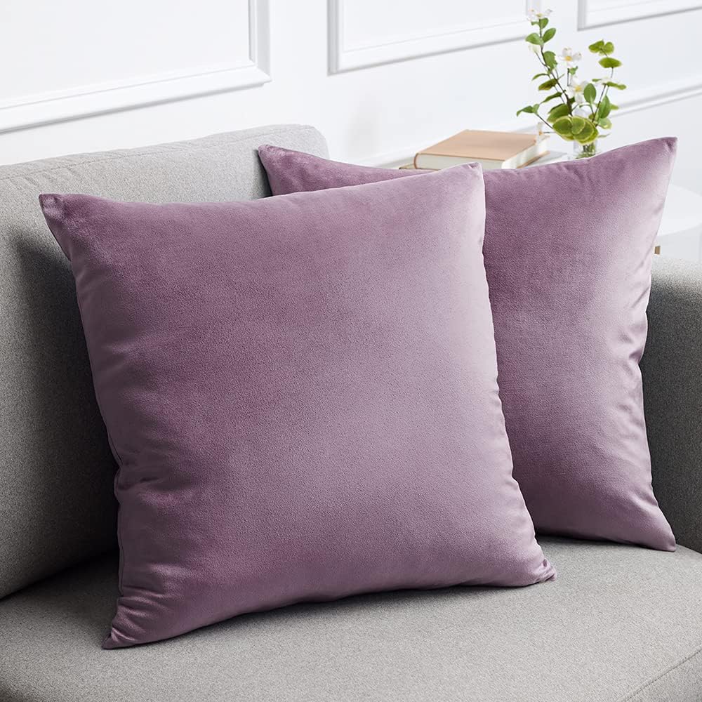 lalaLOOM Velvet Throw Pillow Covers, Set of 2 Decorative Square Pillows Home Decor, Soft Accent Cases, Silky Machine Washable Pillowcases for Sofa, Couch, Bedroom, Living Room, 16x16, Plum Purple