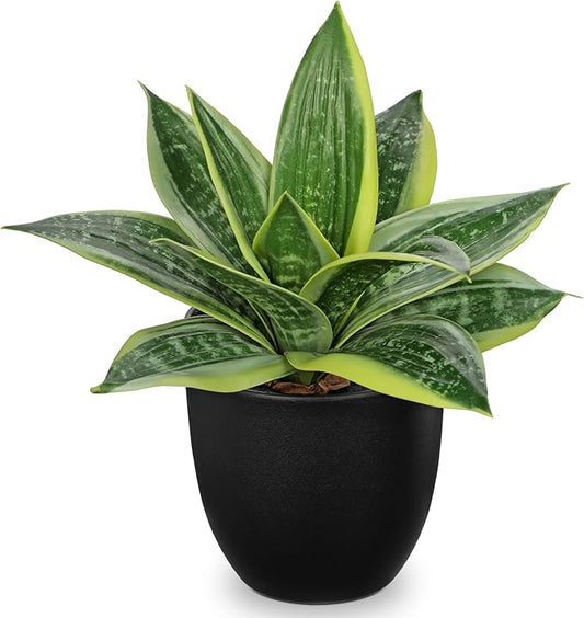 Hollyone Artificial Snake Plants 9" Faux Agave Succulent Plant Potted in Black Pot Fake Sansevieria Aloe Tropical Plant for Desk Modern Office Home Bathroom Indoor Outdoor Decor