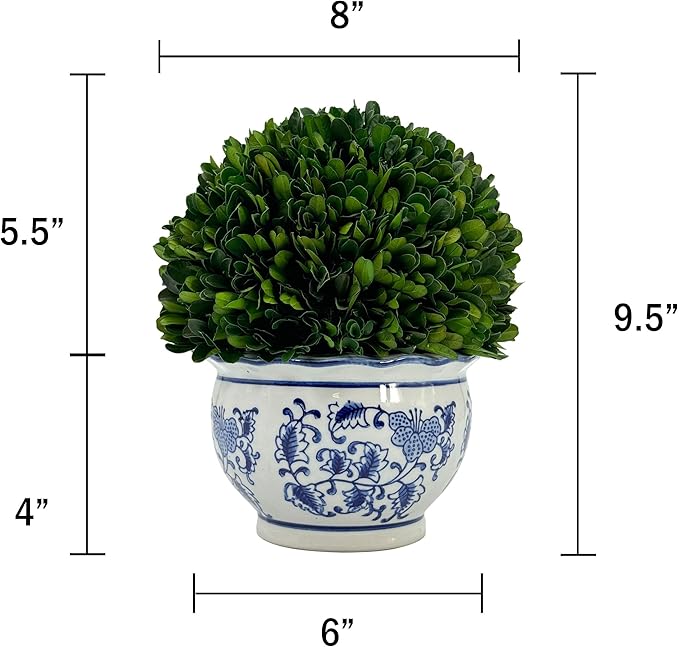 Galt International 9.5" Naturally Preserved Real Boxwood Ball in Hand-Painted Round Bulb Blue & White China Pot Planter Green Indoor Plant Home Decor (9.5" Tall Topiary)