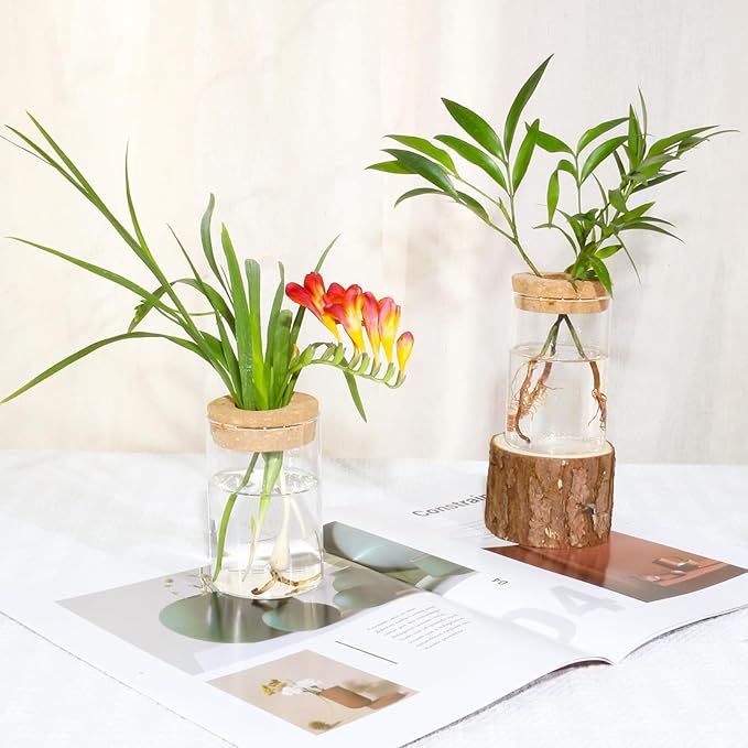 Separated Desktop Glass Flower Vases - Ideal Plants Propagation Stations for Living Room, Bedroom Decoration,Home Decor (6)