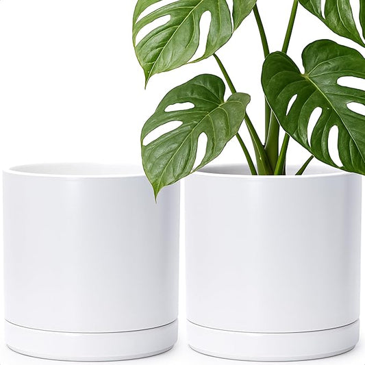 D'vine Dev Set of 2 Plants Pots, 10 Inch Ceramic Planter Pot for Plants with Drainage Hole and Saucer, White, 94-V-E-1