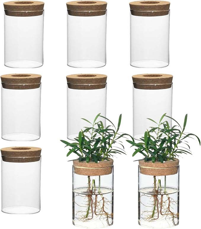 Separated Desktop Glass Flower Vases with Wooden Saucers - Ideal Plants Propagation Stations for Living Room, Bedroom Decoration,Home Decor (9)