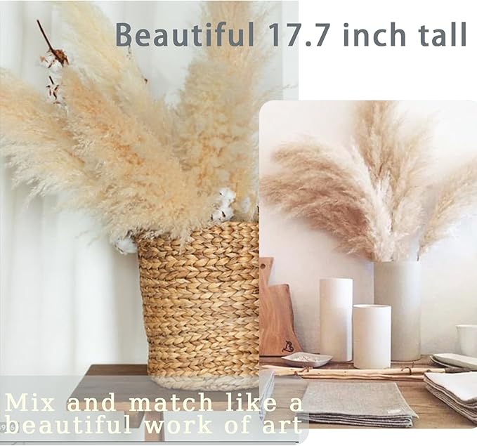 30 Stems Home Decor - Natural Dried Pampas, Brown & Beige Pompas Grass, Dry Small Pampas Bulk for Living Room Table Decor, Boho Decor,Party Wedding Decor, Gift(17.7 inch, 20 Brown & 10 Female Pampas)