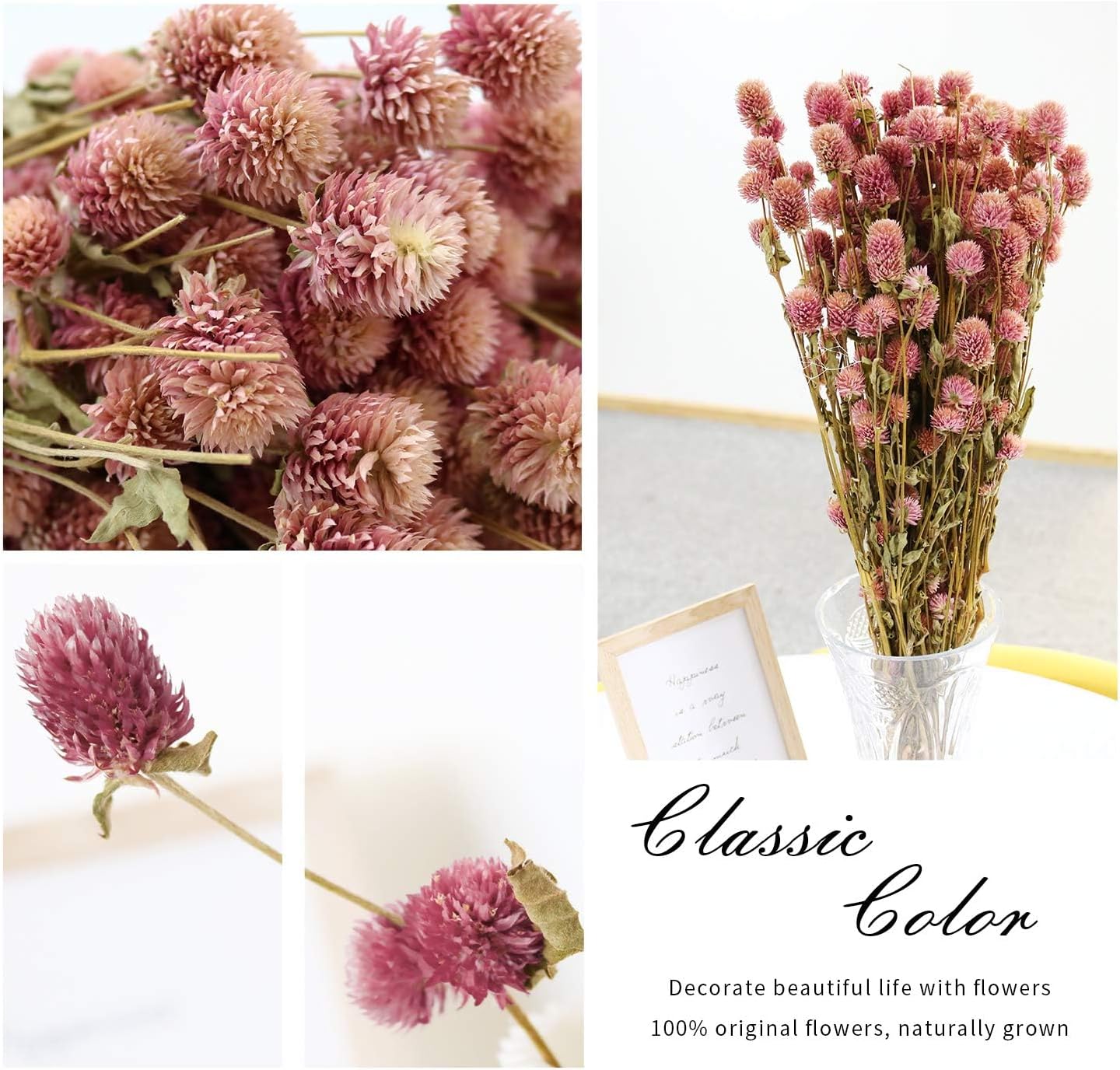 Dried Flower White Globe Amaranth Dry Flower Bundles 100% Naturally for Home Decor Party (Pink)