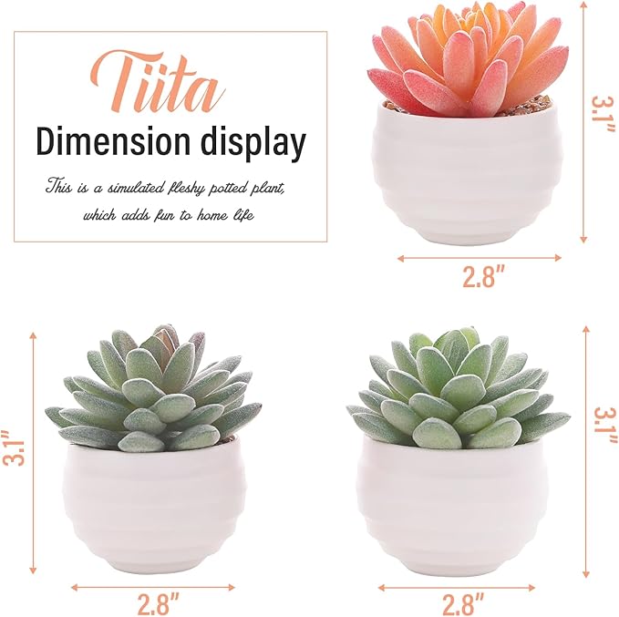 Tiita Artificial Faux Succulents in Pots Fake Plants Ceramic Arrangement Planter for Women Desk Small Mini Tiny Decoration for Home Office Desk Window