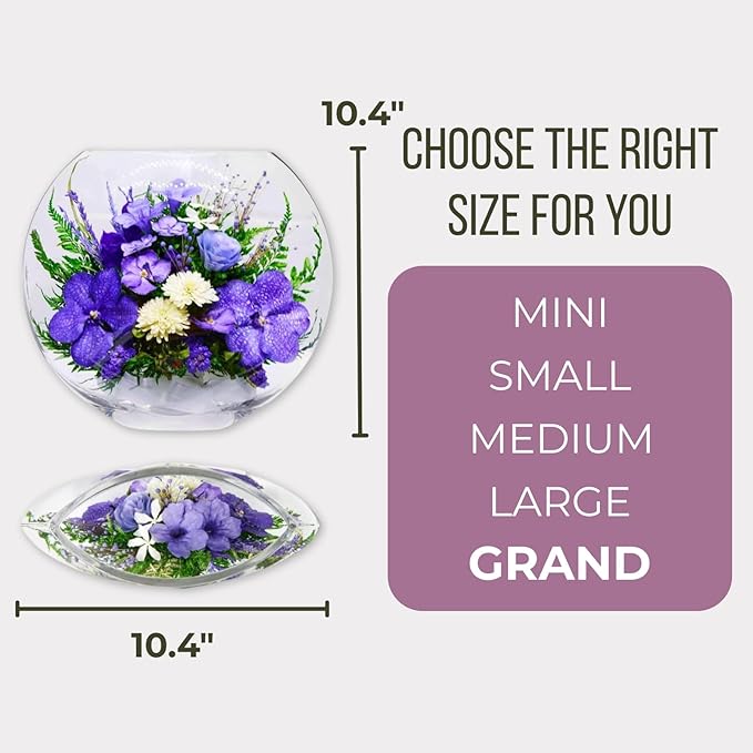 Fiora Flower | Long Lasting Orchids| Lasts up to 5 Years | No Water Need | Allergy Free | Odor Resistant | Unique Present Gift