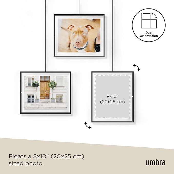 Umbra Exhibit Wall Frame with Metal Rod for Hanging-Rimless Design-Suitable for Living Room, Bathroom, Bedroom, Entryway and More, Black