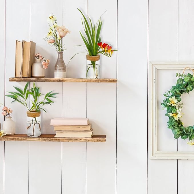 Separated Desktop Glass Flower Vases with Wooden Saucers - Ideal Plants Propagation Stations for Living Room, Bedroom Decoration,Home Decor (9)