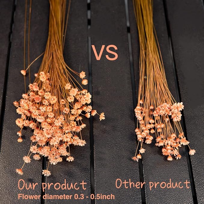 200 Stems Natural Dried Flowers Brazilian Small Star Daisy Dried Decorative Mini Chamomile Bouquet for Wedding Floral Arrangements Home Decorations Valentine's Day Gifts (Orange)