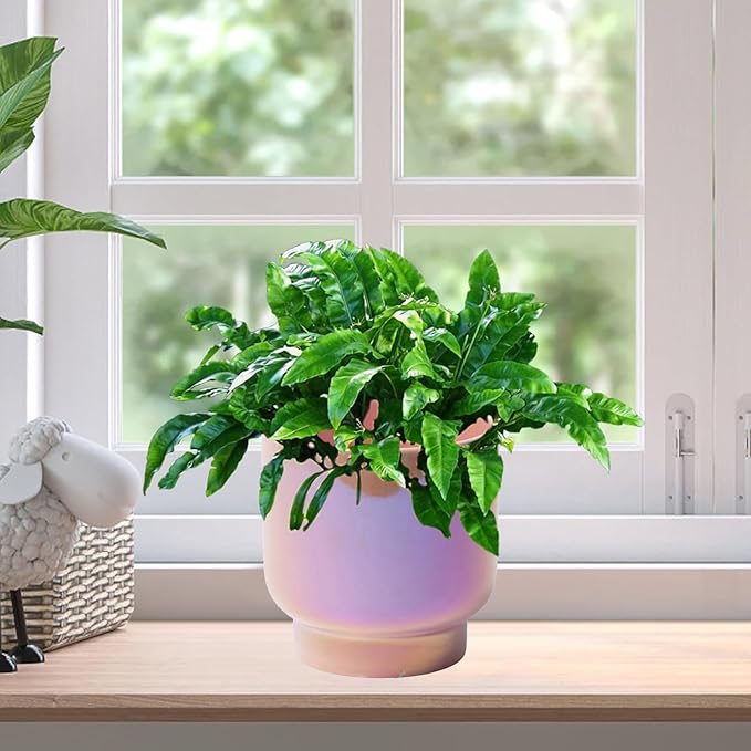 LB Pink Purple Ceramic Planters for Indoor Plants, Succulent Plant Pots Ceramic Plant Pot, Cute Flower Pots for Living Room Office Home Decor, Round Flower Pot of 4.3 Inch(Plant Not Included)