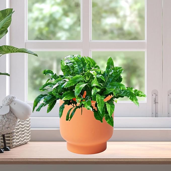 LB Orange Ceramic Planters for Indoor Plants, Succulent Plant Pots Ceramic Flower Pots, Modern Plant Pot for Living Room Office Home Decor, Round Flower Pot of 4.3 Inch(Plant Not Included)