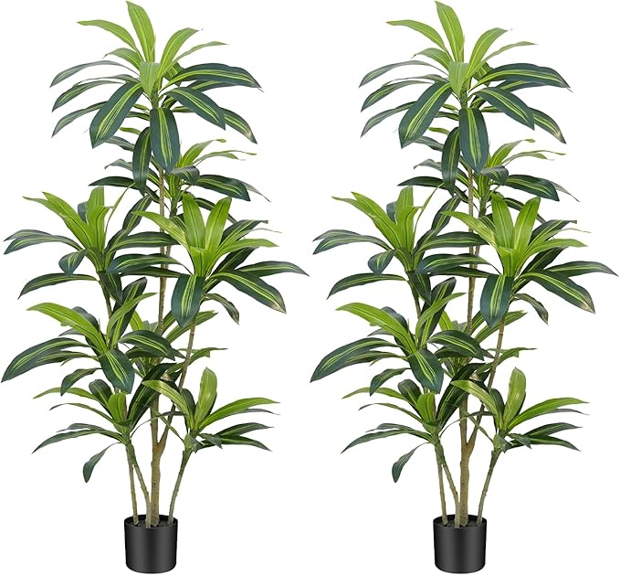 5Ft Dracaena Plant Artificial Tree Fake Tropical Floor Plants Potted (Real Touch) Artificial Silk Tree Leaf Faux Trees Black Tall Planter for Home Office Living Room Indoor Outdoor Decor（2Pack）
