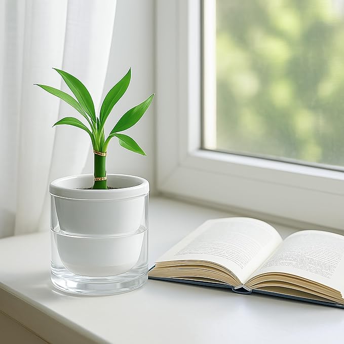 D'vine Dev 4 Inch Design Self Watering Planter for Indoor Plants, White Terracotta Pots with Cylinder Glass Cup, 37-X-A-2