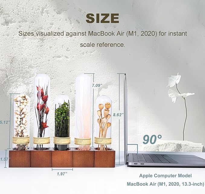 5Pcs Dried Flowers Book Shelf Decor,Boho Shelf Decor,Small Plants Decor for Office Shelves,Natural Forest Green Plants Decor with Wooden Base,Rustic Farmhouse Decor,Unique Gifts for Women,Friends