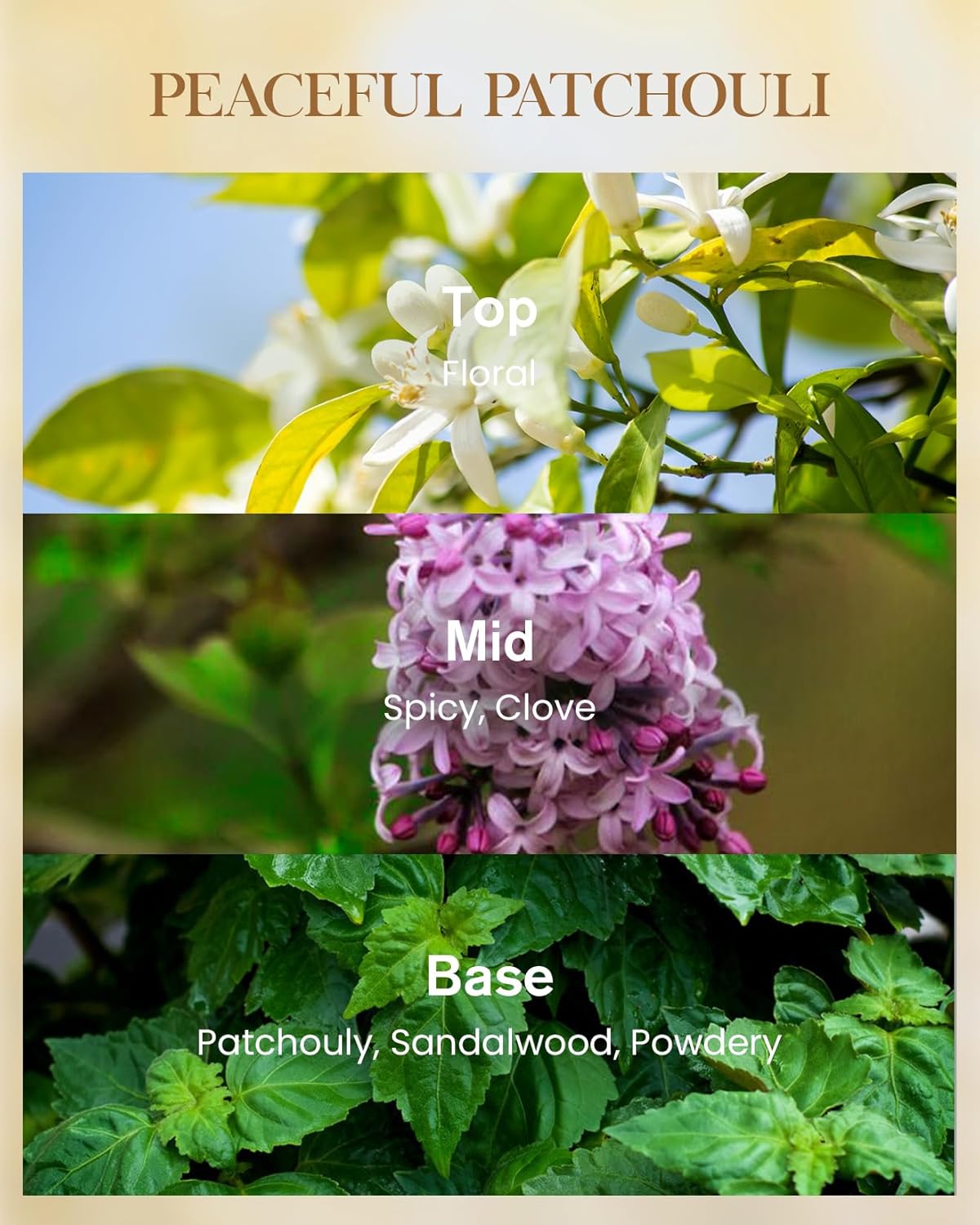 M&SENSE Peaceful Patchouli Scented Candle 35oz 150H Burn Time Long Lasting, 3-Wick Natural Aromatherapy Fall Winter Candle, Home Fragrance Housewarming Festival Gifts