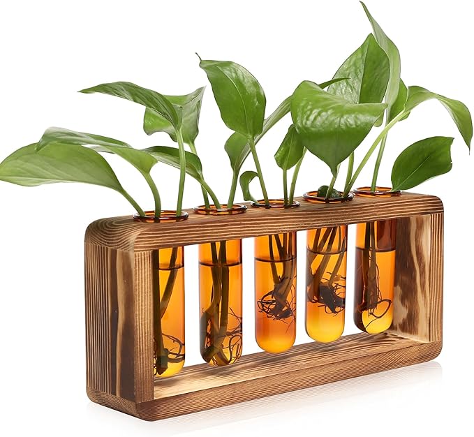 Glass Plant Propagation Station with 5 Test Tubes Colorful Planter Vase Birthday Gifts for Women in Wooden Stand