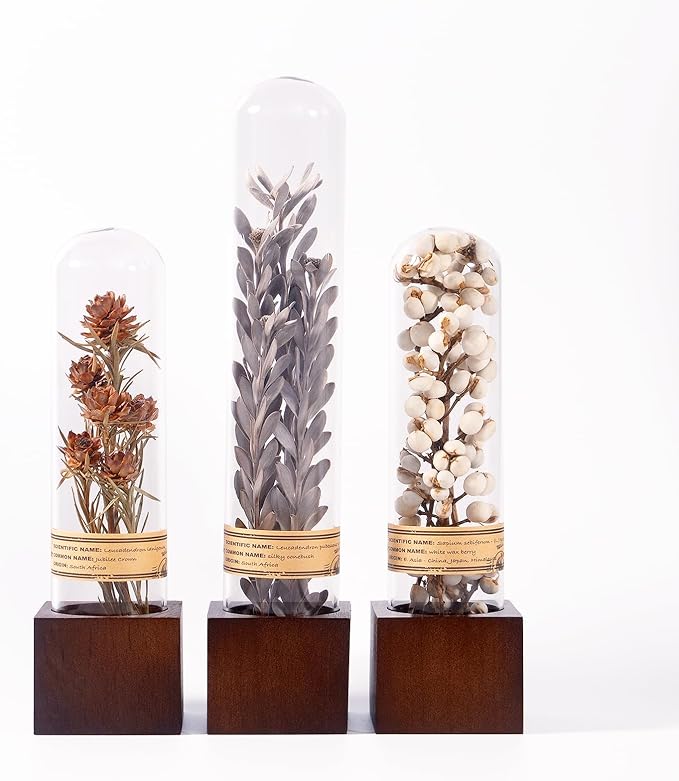 3Pcs Dried Flowers Book Shelf Decor,Boho Shelf Decor,Small Plants Decor for Office Shelves,Natural Forest Green Plants Decor with Wooden Base,Rustic Farmhouse Decor,Unique Gifts for Women,Friends