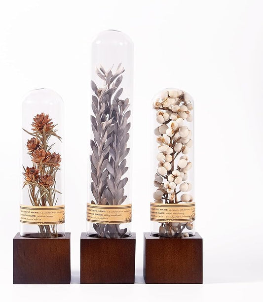 3Pcs Dried Flowers Book Shelf Decor,Boho Shelf Decor,Small Plants Decor for Office Shelves,Natural Forest Green Plants Decor with Wooden Base,Rustic Farmhouse Decor,Unique Gifts for Women,Friends