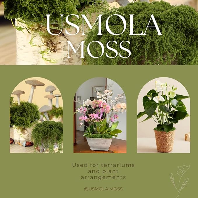 3.5OZ Fake Moss for Plants Indoor - Artificial Moss for Table Centerpieces, Fairy Gardens, Terrariums - Realistic Faux Grass for Wedding Christmas Party Decor (Natural Green)