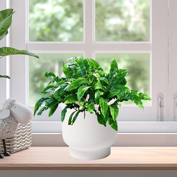 LB White Ceramic Planters for Indoor Plants, Succulent Plant Pots Ceramic Flower Pots, Modern Plant Pot for Living Room Office Home Decor, Round Flower Pot of 4.3 Inch(Plant Not Included)