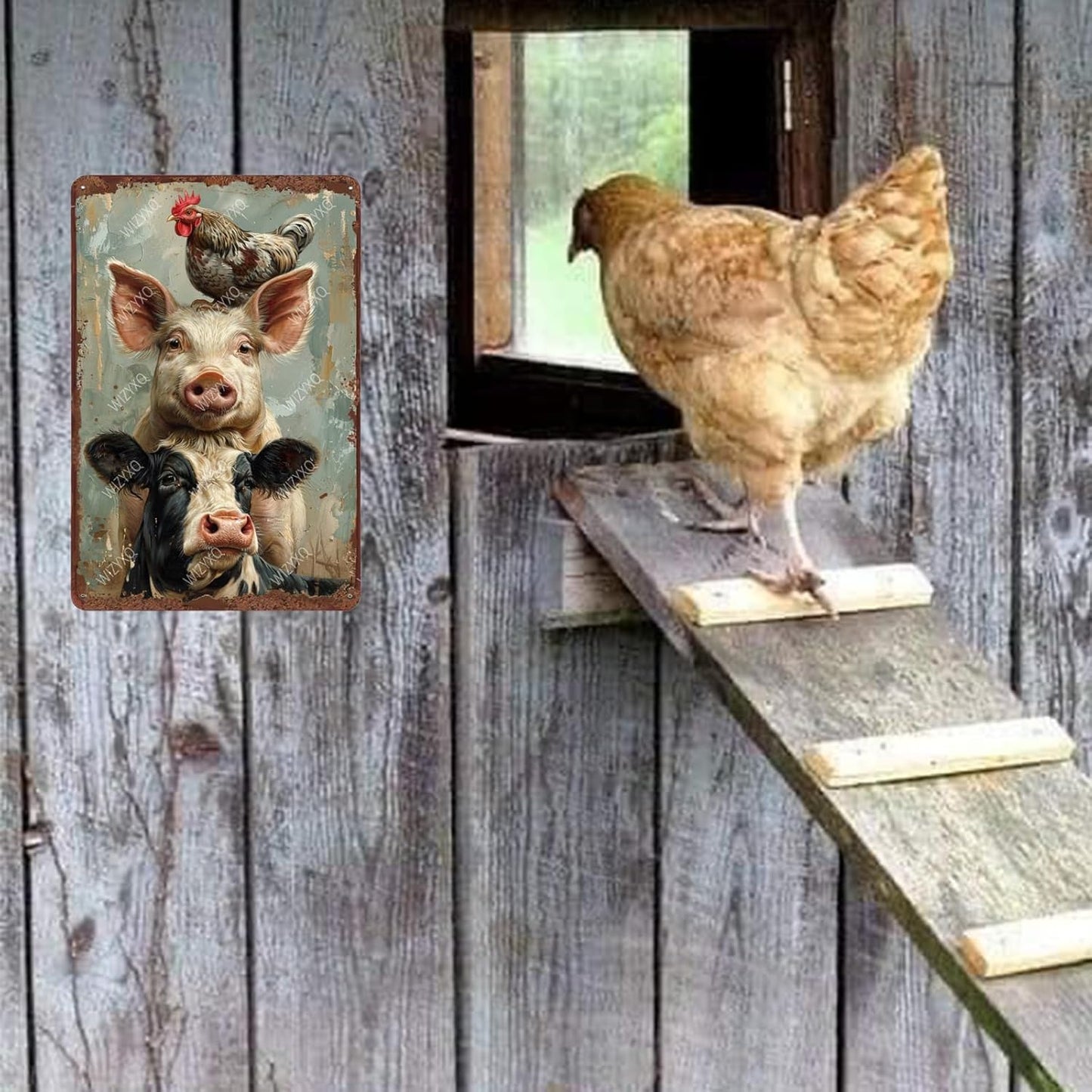 Metal Signs A Pig Cow Chicken Vintage Tin Sign for Home Office Kitchen Bar Cafe Garden Farmhouse Chicken Coop Wall Decor 12x8 Inch