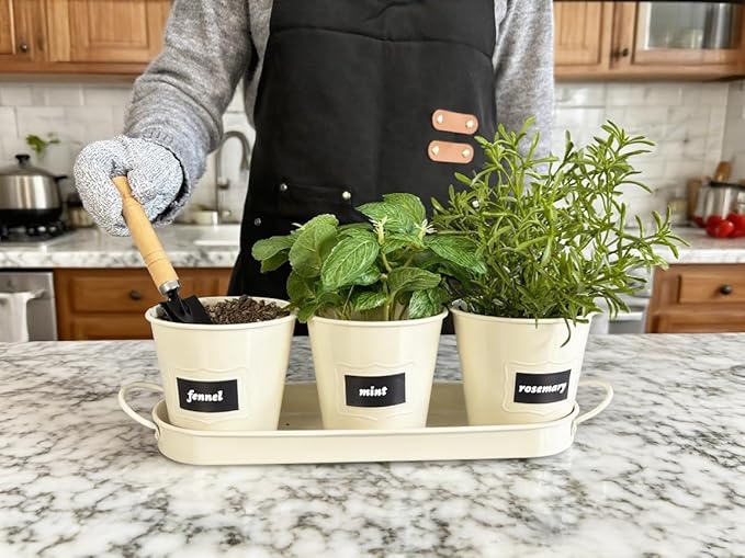 4" Herb Garden Planter Kit, Indoor Herb Planters with Tray, Set of 3 Metal Windowsill Pots for Flower Plants with Drainage Hole, Customizable Labels & Marker Pen, Beige
