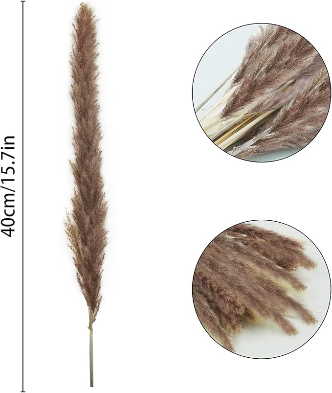 Uieke 120pcs Dried Brown Pampas Grass, 17" Natural Dried Flowers Arrangements Dried Reed Plumes for Home Boho Wedding Party Decoration